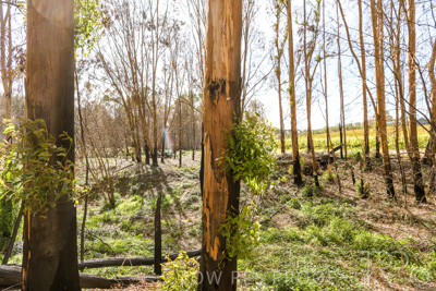 March 2020 / VERGARA_187