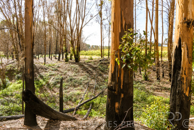 March 2020 / VERGARA_188