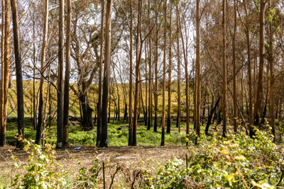 March 2020 / VERGARA_192