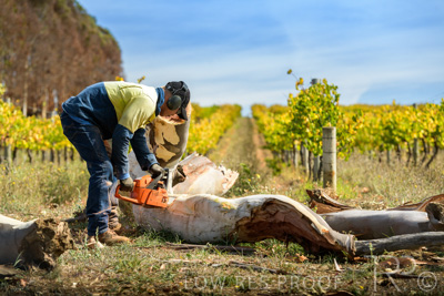 March 2020 / VERGARA_195