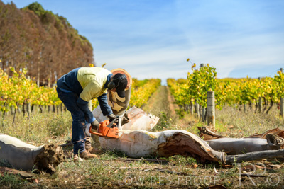 March 2020 / VERGARA_196