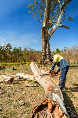 March 2020 / VERGARA_199