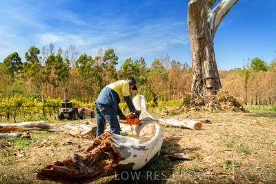 March 2020 / VERGARA_200