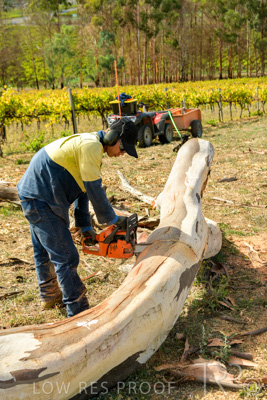 March 2020 / VERGARA_201