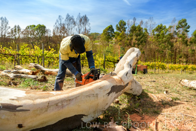 March 2020 / VERGARA_203