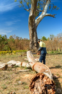 March 2020 / VERGARA_207