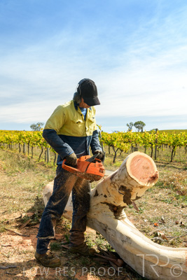 March 2020 / VERGARA_208