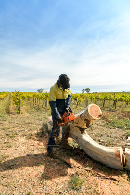 March 2020 / VERGARA_209