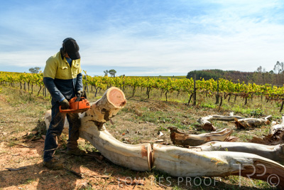 March 2020 / VERGARA_210