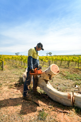 March 2020 / VERGARA_212