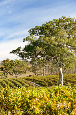 March 2020 / _85N2914