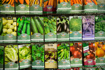 October 2020 / INGRAMS_201020_024