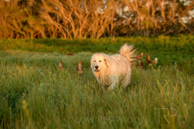 October 2020 / KIEGGS_201020_096