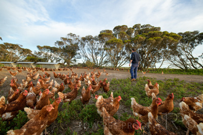 October 2020 / KIEGGS_201020_143