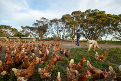 October 2020 / KIEGGS_201020_144