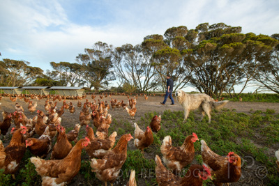 October 2020 / KIEGGS_201020_146