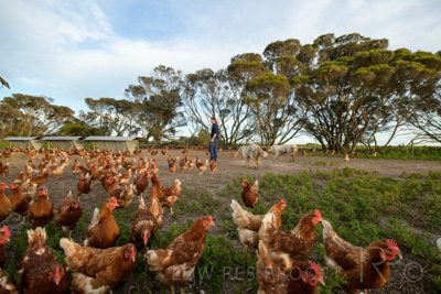 October 2020 / KIEGGS_201020_148