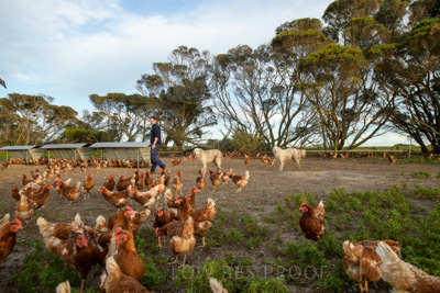 October 2020 / KIEGGS_201020_149