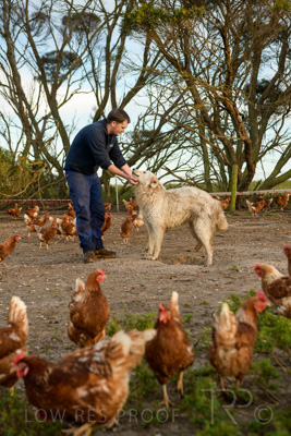 October 2020 / KIEGGS_201020_153