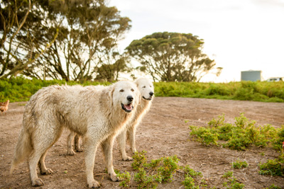 October 2020 / KIEGGS_201020_160