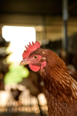 October 2020 / KIEGGS_201020_166