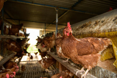 October 2020 / KIEGGS_201020_168