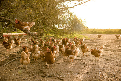 October 2020 / KIEGGS_201020_171