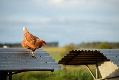 October 2020 / KIEGGS_201020_172