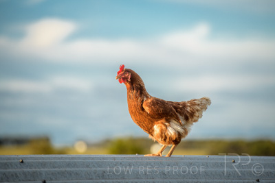 October 2020 / KIEGGS_201020_174