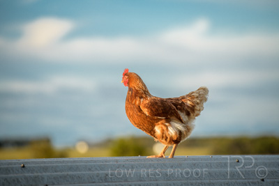 October 2020 / KIEGGS_201020_178