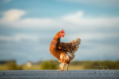 October 2020 / KIEGGS_201020_180