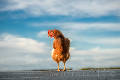 October 2020 / KIEGGS_201020_181