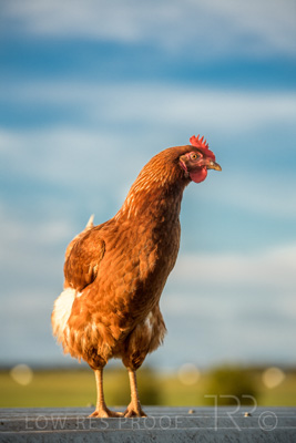 October 2020 / KIEGGS_201020_183