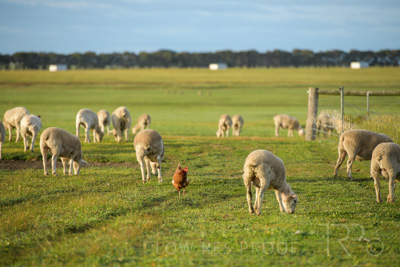 October 2020 / KIEGGS_201020_198