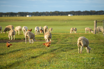 October 2020 / KIEGGS_201020_199