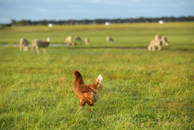 October 2020 / KIEGGS_201020_200