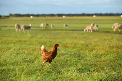 October 2020 / KIEGGS_201020_201