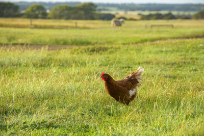 October 2020 / KIEGGS_201020_203