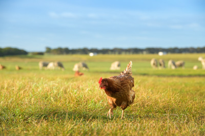 October 2020 / KIEGGS_201020_204