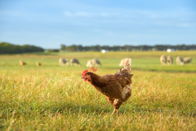 October 2020 / KIEGGS_201020_205