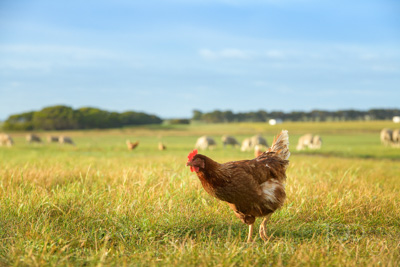 October 2020 / KIEGGS_201020_206