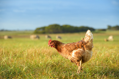 October 2020 / KIEGGS_201020_208