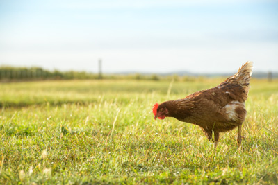 October 2020 / KIEGGS_201020_209