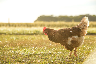 October 2020 / KIEGGS_201020_210