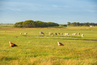 October 2020 / KIEGGS_201020_212