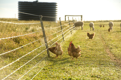 October 2020 / KIEGGS_201020_213