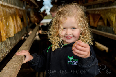 October 2020 / KIEGGS_201020_282