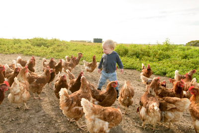 October 2020 / KIEGGS_201020_306