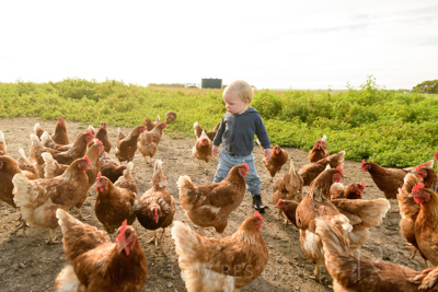 October 2020 / KIEGGS_201020_307