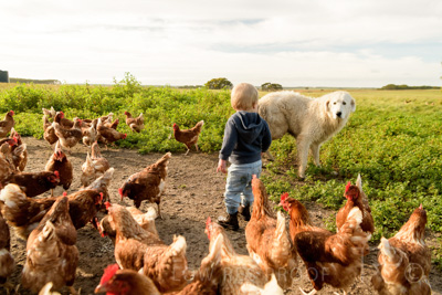 October 2020 / KIEGGS_201020_328